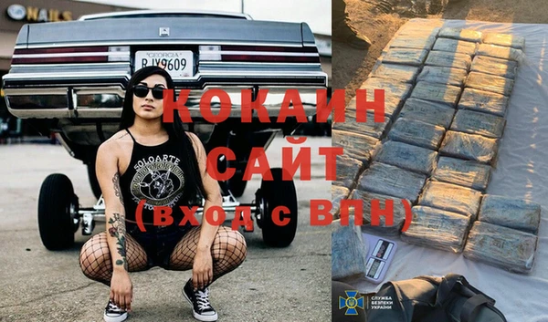 ECSTASY Алзамай
